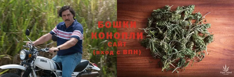 Бошки марихуана White Widow  Козельск 